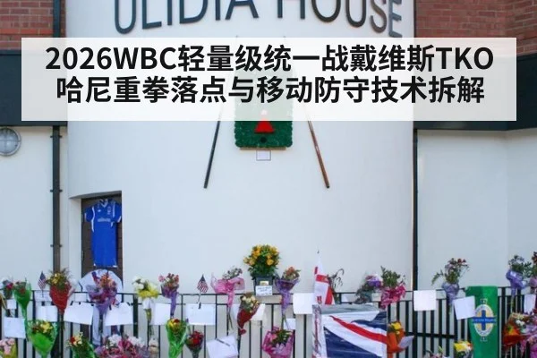 2026WBC轻量级统一战戴维斯TKO哈尼重拳落点与移动防守技术拆解